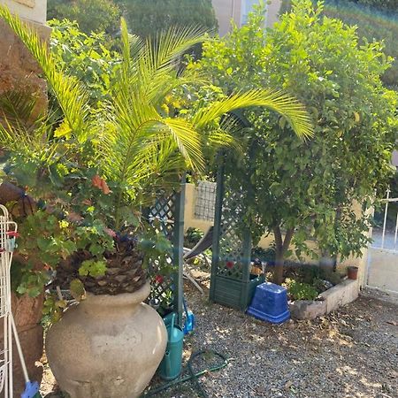 Apartamento Jardin D'Eden Saint-Raphaël Exterior foto