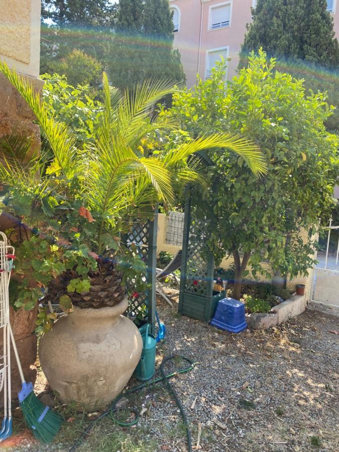 Apartamento Jardin D'Eden Saint-Raphaël Exterior foto